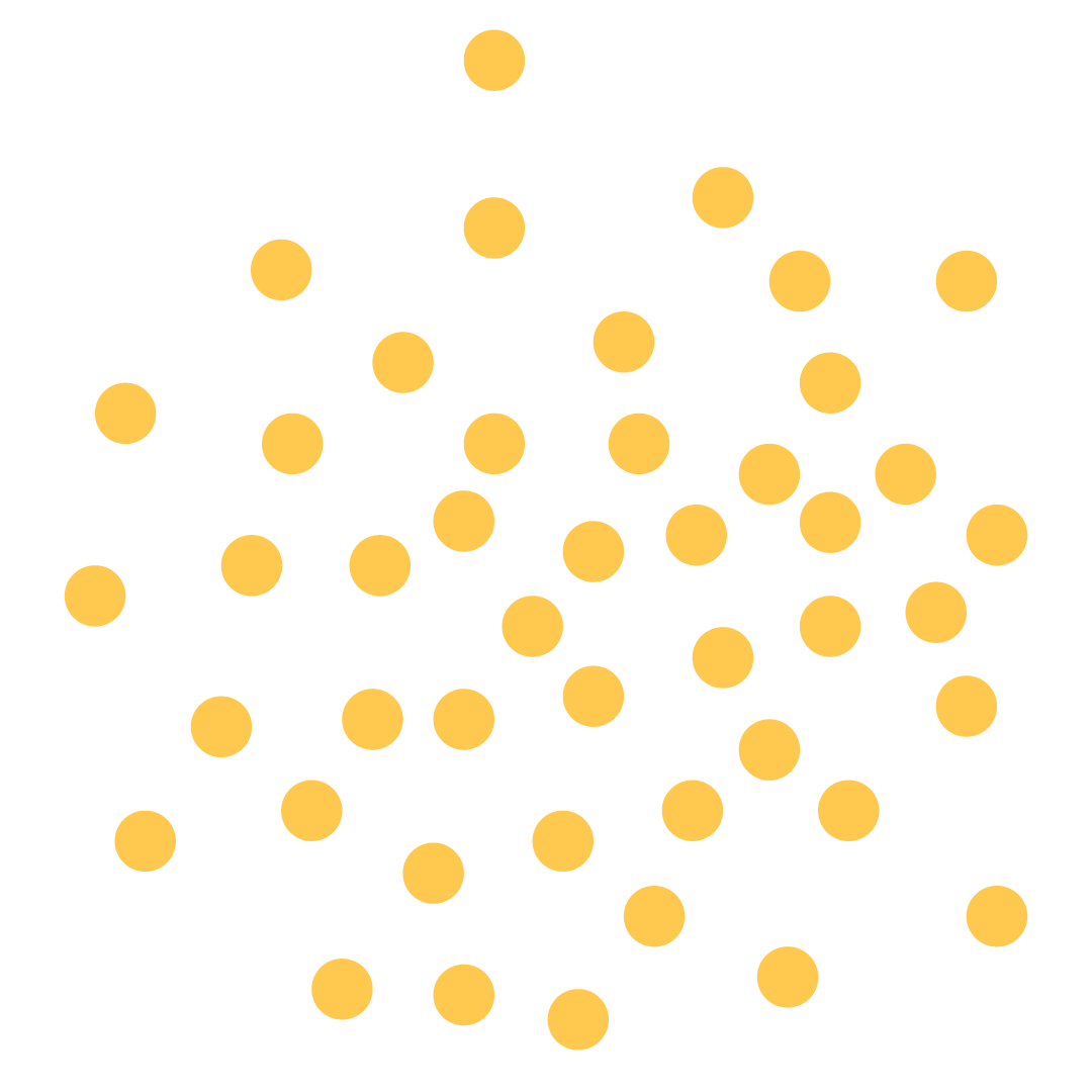 local seo expert in bangladesh